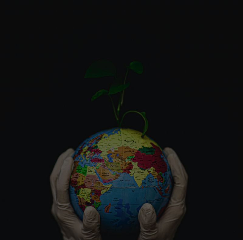 Offerta globale